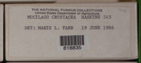 Image Associated With the Occurence